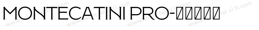 Montecatini Pro字体转换